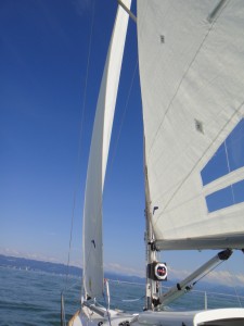 Stine auf Bodensee